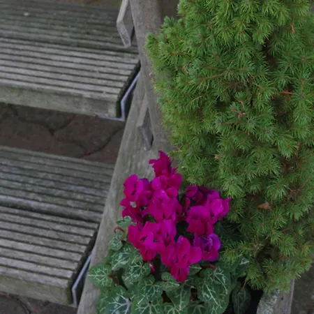 Lejlighed Schmitzebrinks